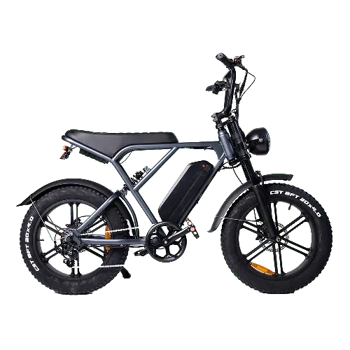 Fatbike Huren In Enschede | Jouw Avontuur Begint Hier! 2 Ouxi fatbikes